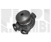 AUTOTEAM WPA491 Water Pump